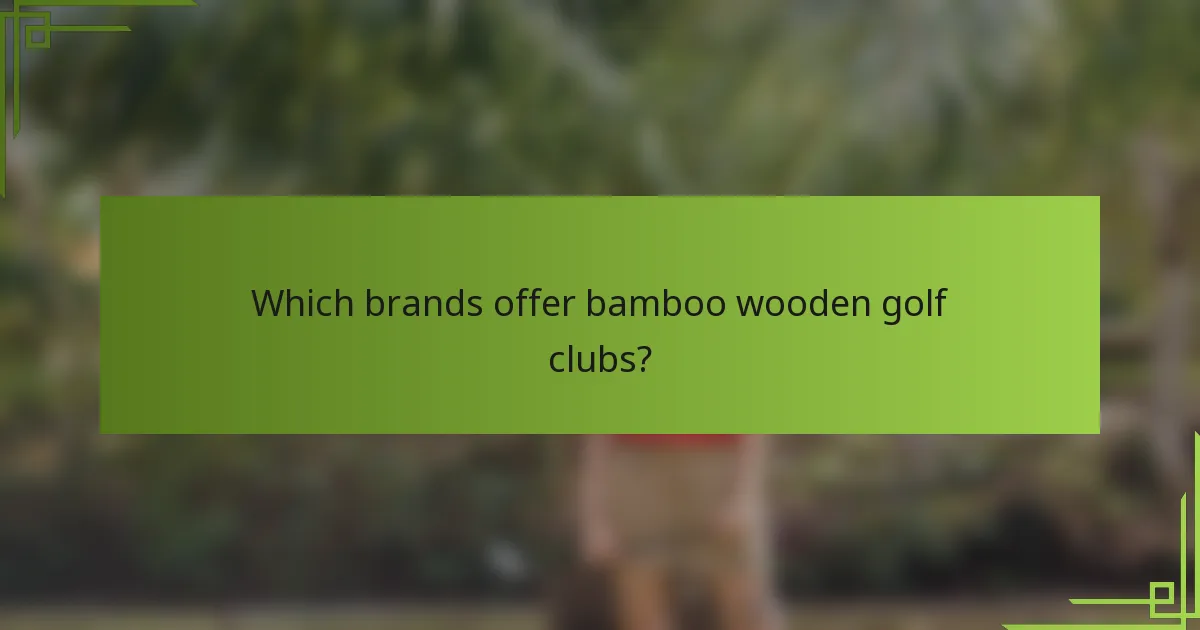 Which brands offer bamboo wooden golf clubs?