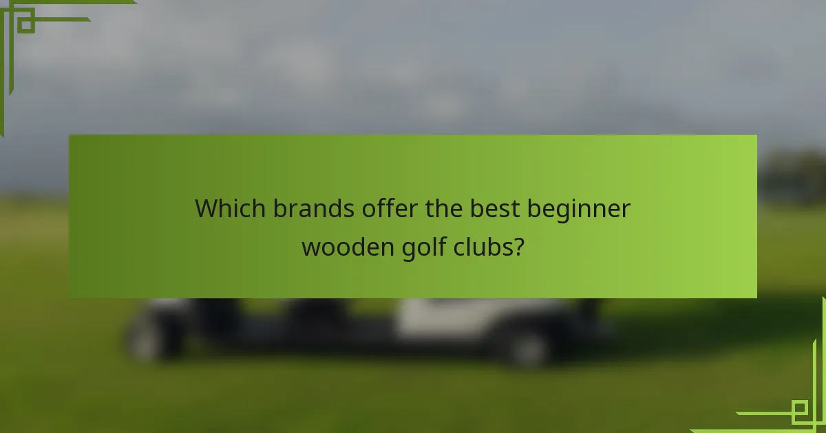 Which brands offer the best beginner wooden golf clubs?