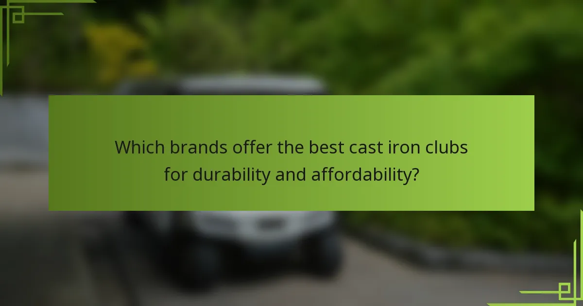 Which brands offer the best cast iron clubs for durability and affordability?