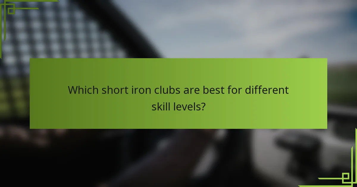 Which short iron clubs are best for different skill levels?