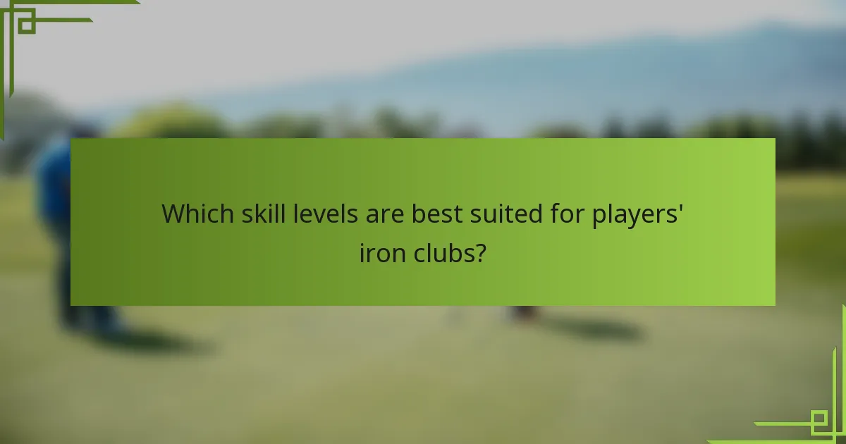Which skill levels are best suited for players' iron clubs?